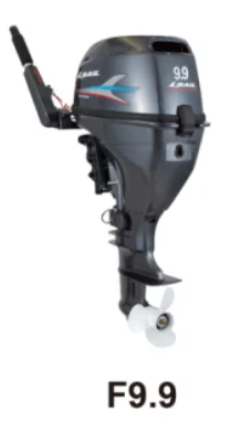 Sail F9.9 HP outboard Motor